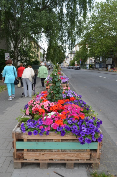 Datei:BlumenkästenInnenstadtkorridoreLandesgartenschau2014.jpg